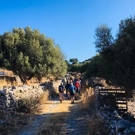 Nektarios * Neápolis