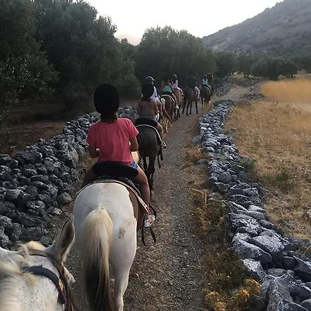 Appartamento Nektarios *